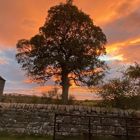 Wydon Farm Bed And Breakfast Haltwhistle Exterior photo