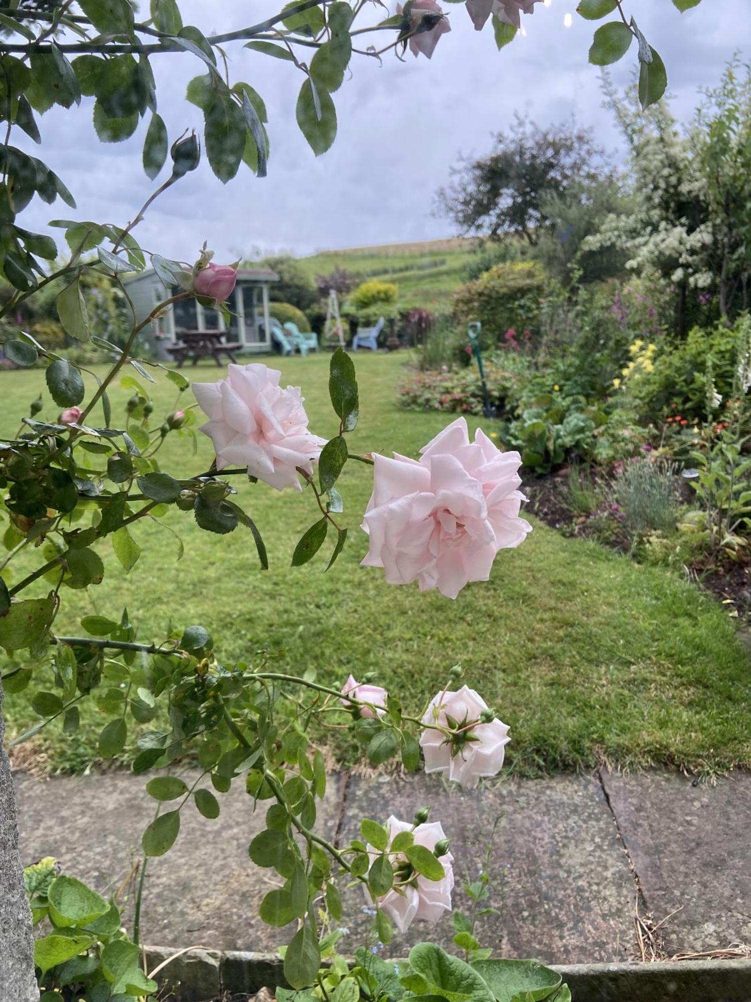 Wydon Farm Bed And Breakfast Haltwhistle Exterior photo