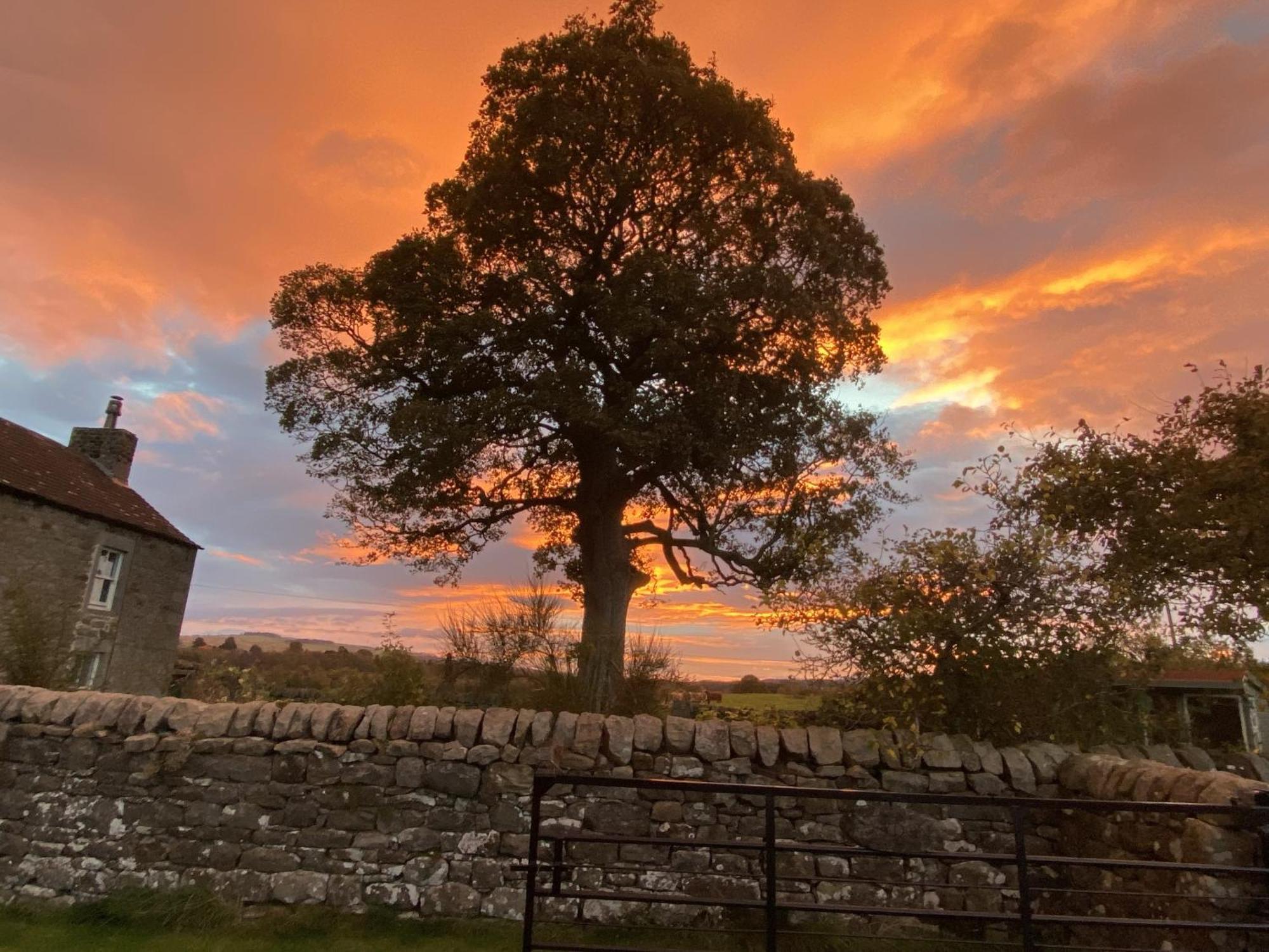 Wydon Farm Bed And Breakfast Haltwhistle Exterior photo